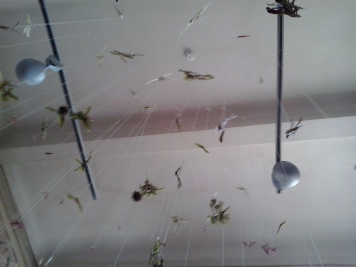 2016-09-04 16.00.48.jpg