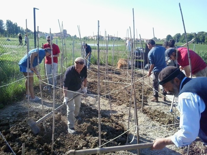 2016-05-06 17.09.24.jpg