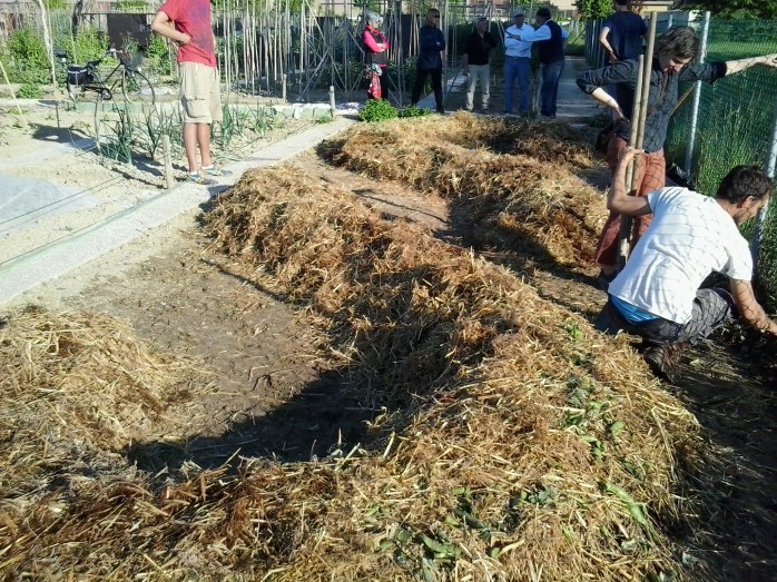 2016-05-06 18.15.59.jpg