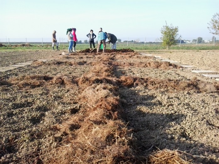 2016-10-29 09.41.23.jpg