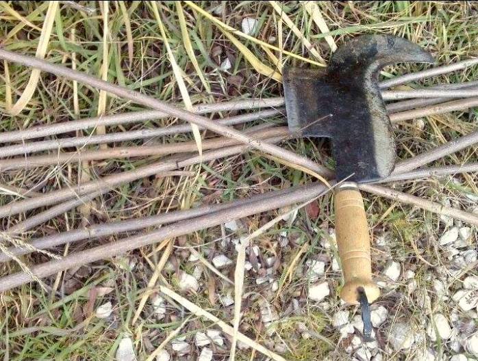 16196423_10211847399249296_1514850576_o