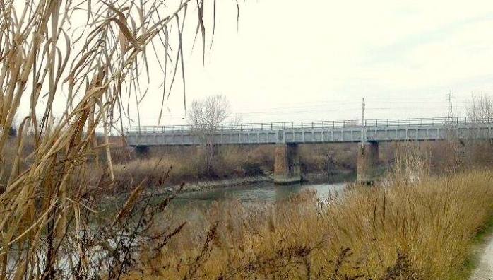 16231128_10211847398409275_358197211_o