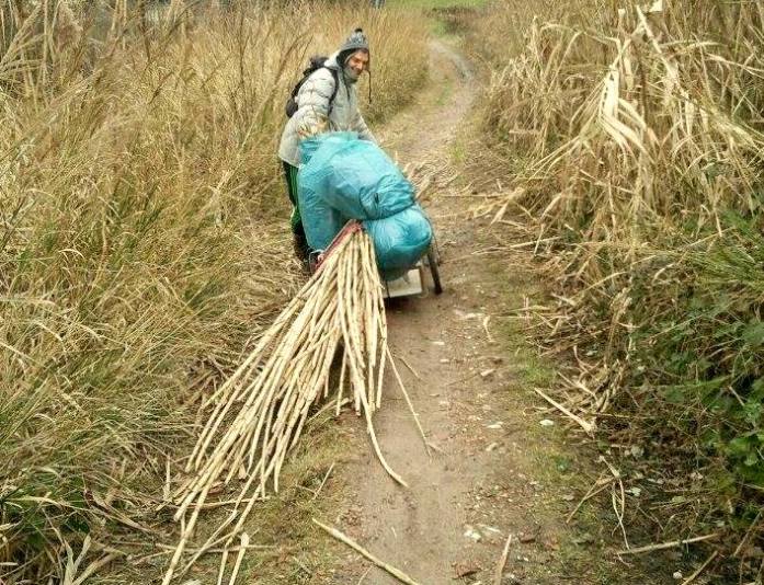 16245001_10211847392409125_219239311_o