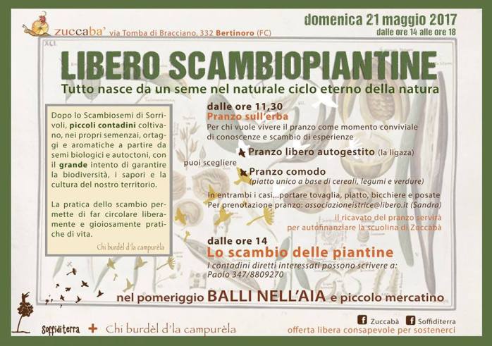 scambio piantine bertinoro.jpg
