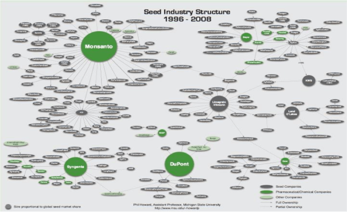 industria sementi.png