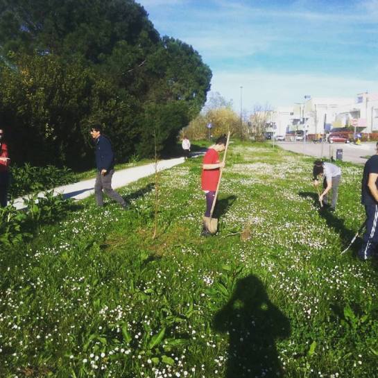 messa a dimora 2.jpg