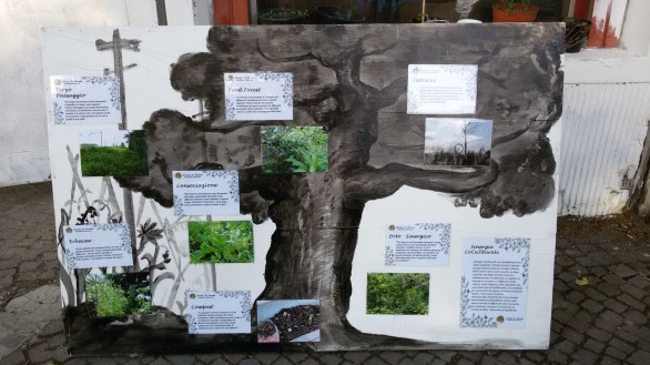 Ortisti di Strada la Diversità.jpg